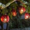Smart Solar Ladybird Lights - Set Of 10 -Garden Furniture Store 39378 11922